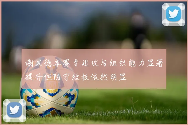 谢泼德本赛季进攻与组织能力显著提升但防守短板依然明显