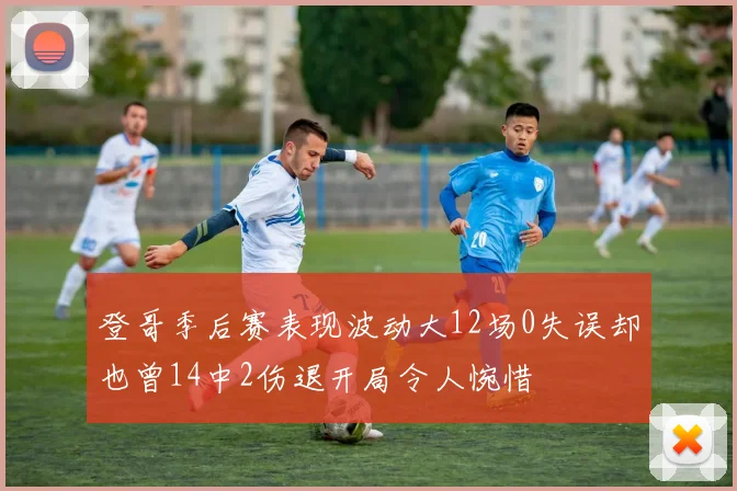 登哥季后赛表现波动大12场0失误却也曾14中2伤退开局令人惋惜