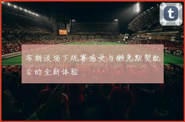 布朗谈场下观赛感受与獭兔默契配合的全新体验