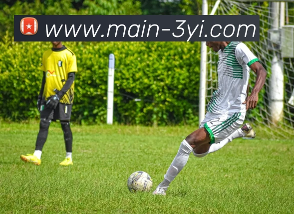 数据分析功能